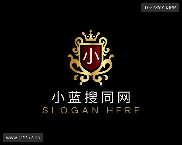 领会小蓝搜同网